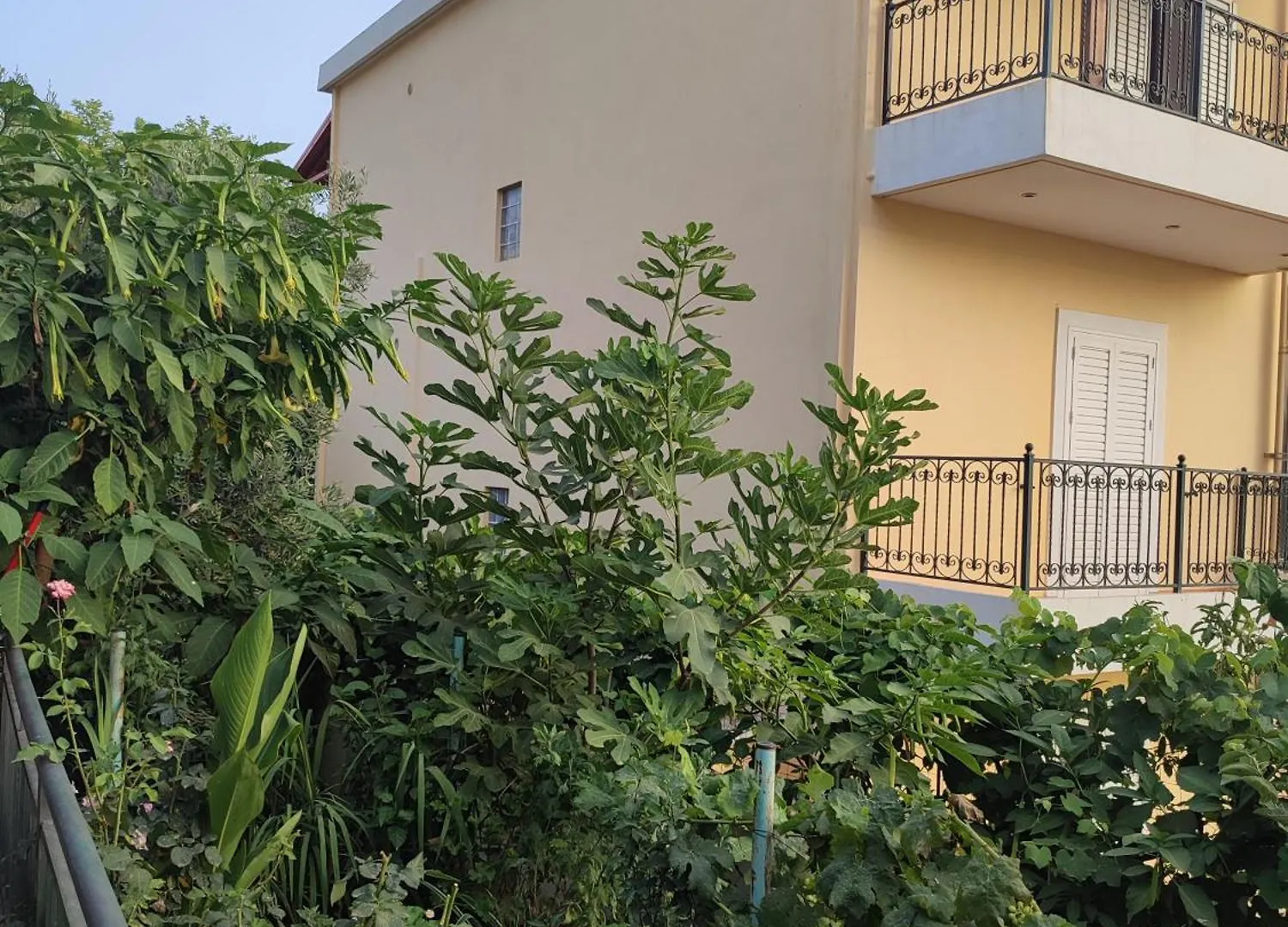 Landhuis Villa Janilla Dhërmi